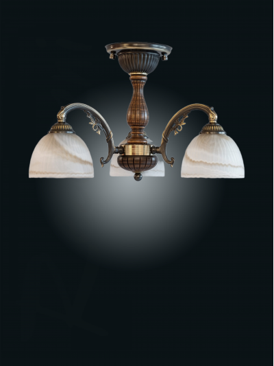 PL 9920 3 ra.jpg