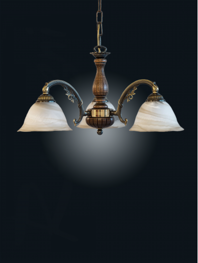 L 9970 3 ra.jpg