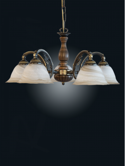 L 9970 5 ra.jpg