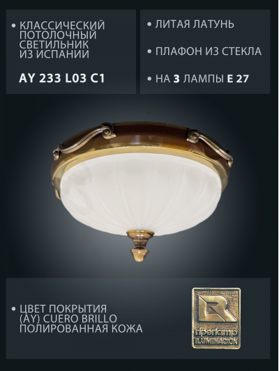 AY233L03C1 txt.jpg