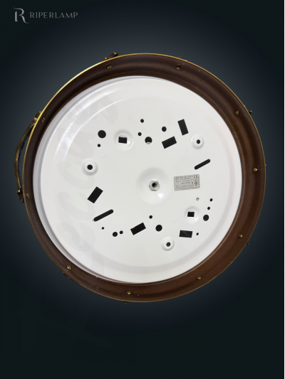 AY233L03C1 back.jpg