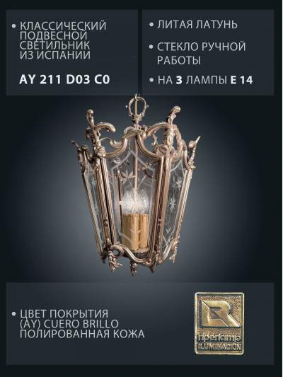 211D AY txt.jpg